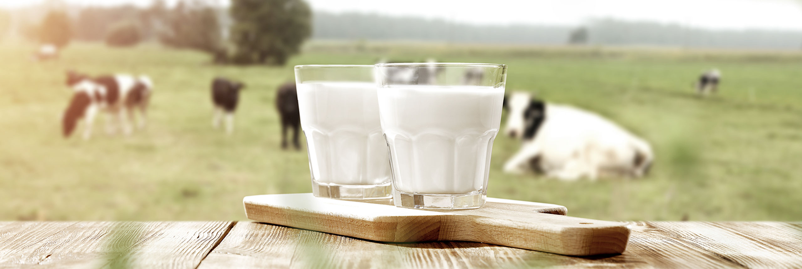bicchieri di latte sole