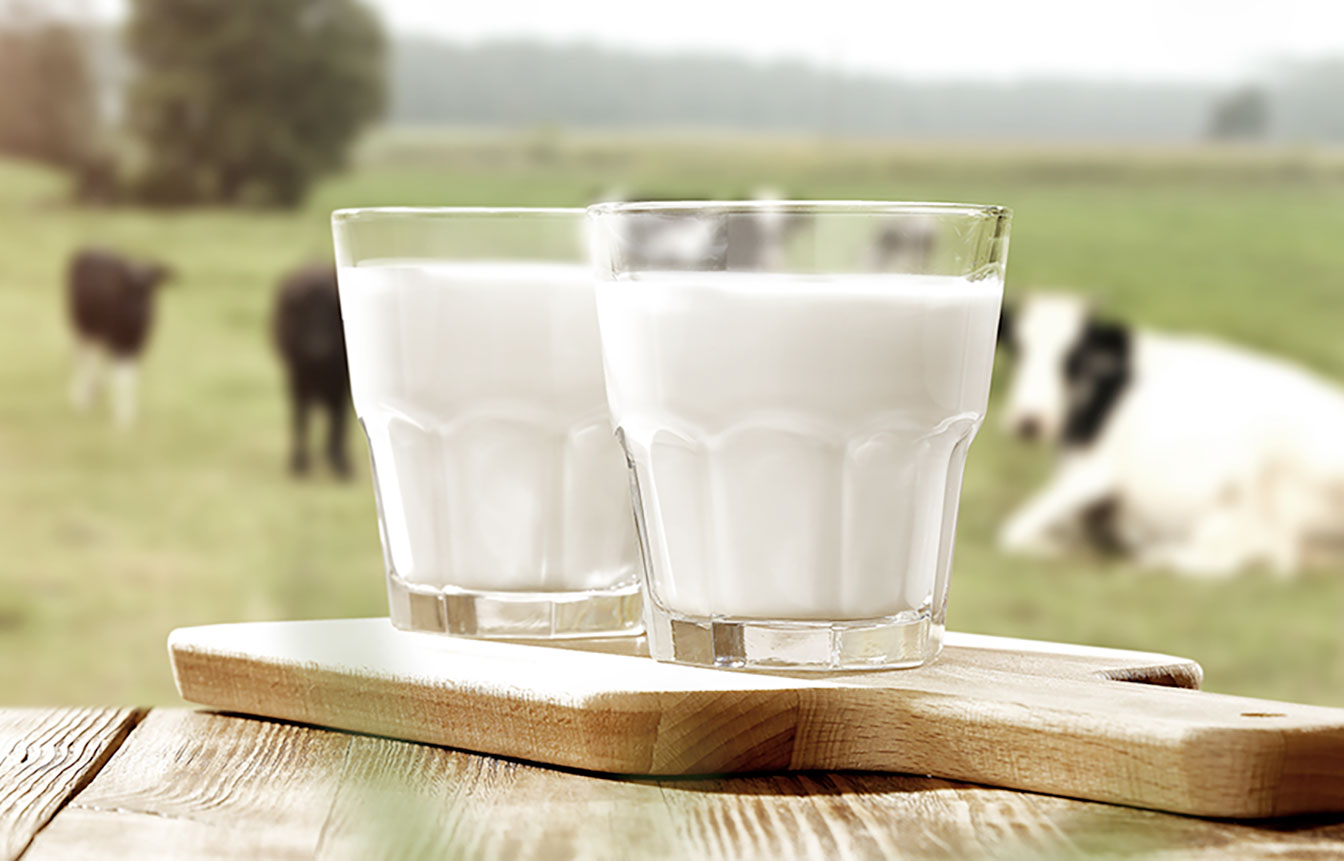bicchieri di latte sole