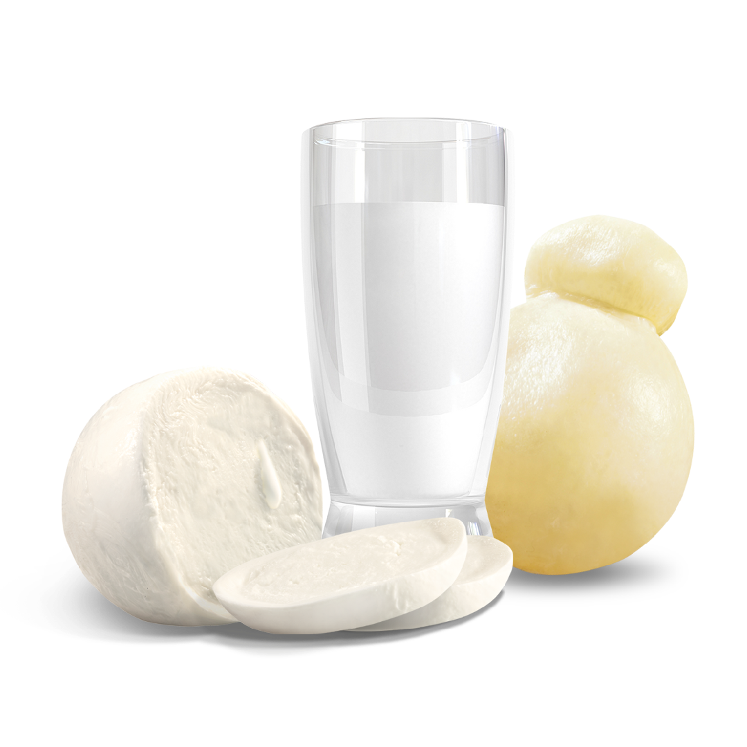 Mozzarella-provola-latte